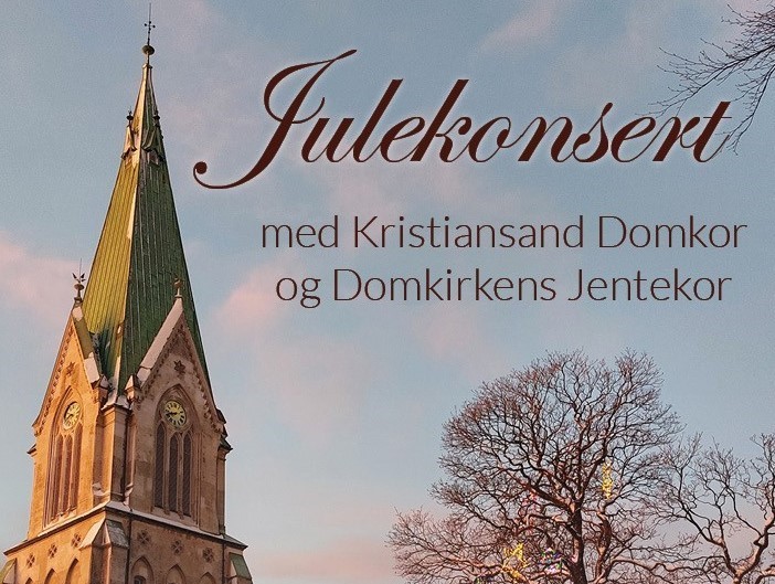 Julekonsert i Domkirken